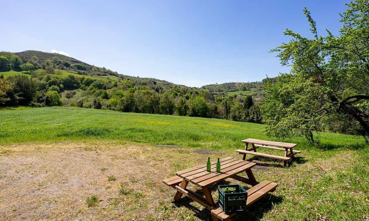 Photo of Outdoor in Cabranes Municipality