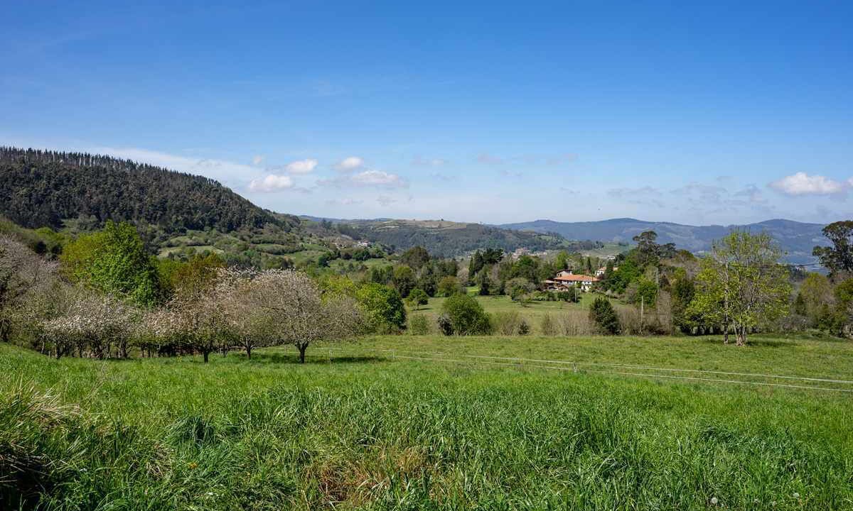 Photo of Outdoor in Cabranes Municipality
