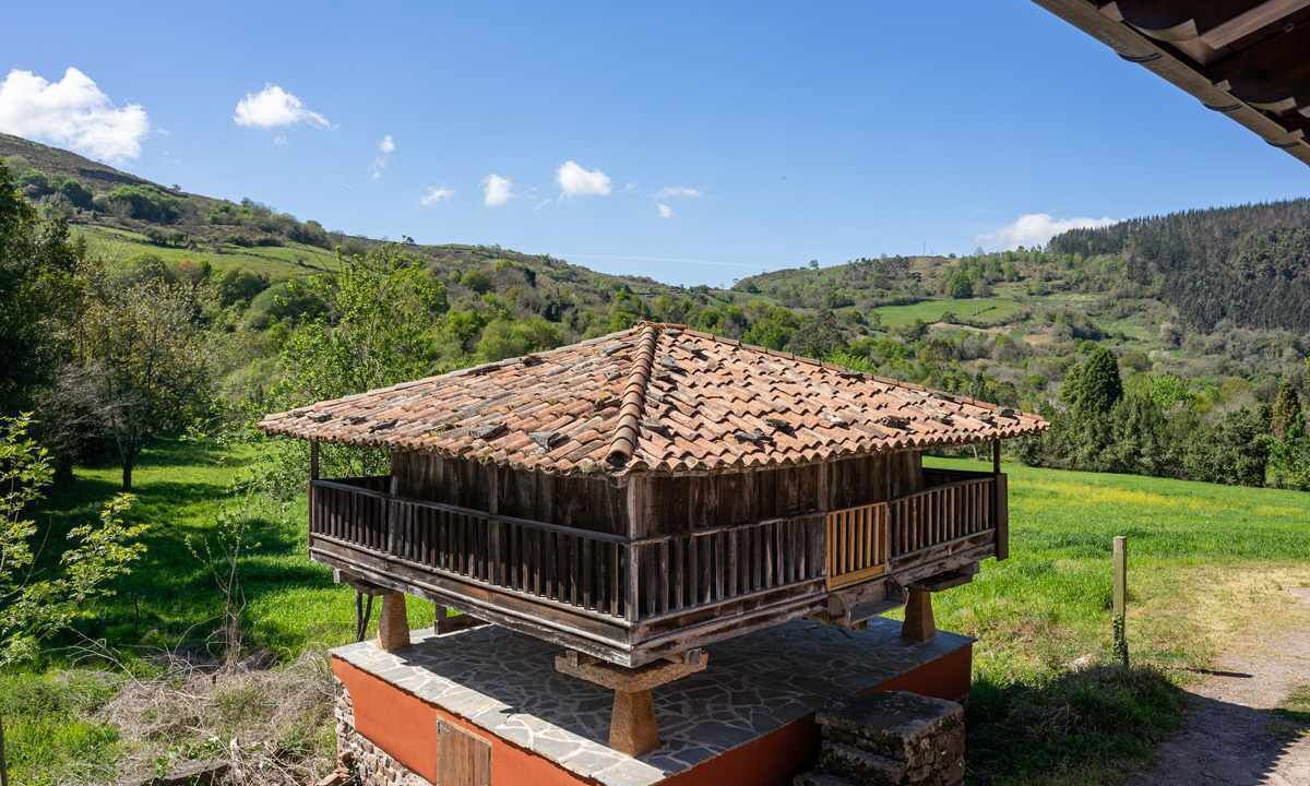 Photo of Outdoor in Cabranes Municipality