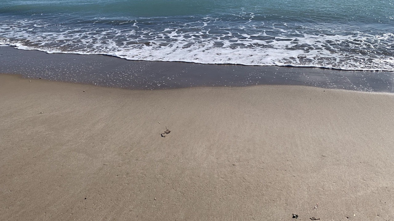 Photo of Others in Playa de Almarda