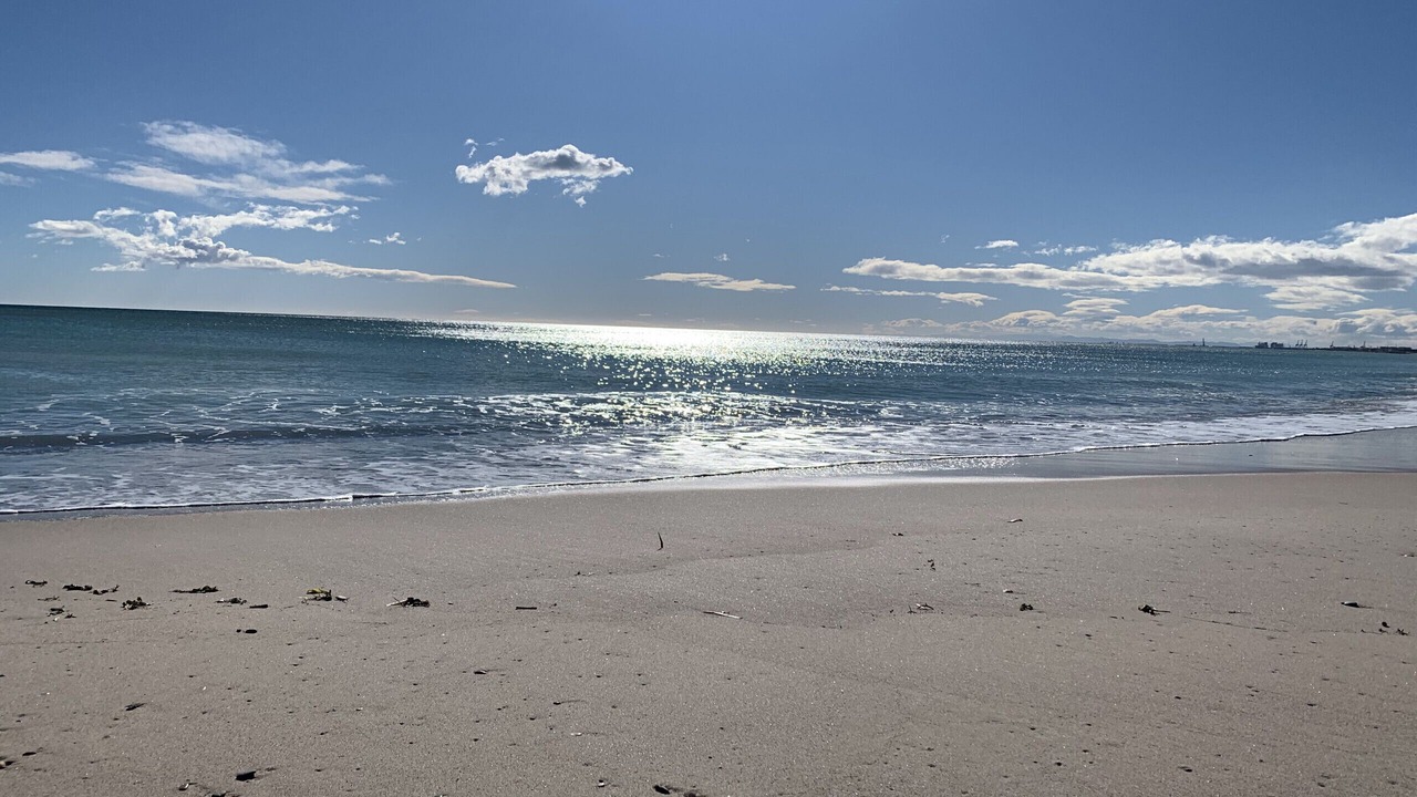 Photo of Others in Playa de Almarda