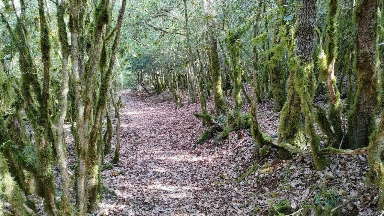 Photo of Outdoor in Metauten