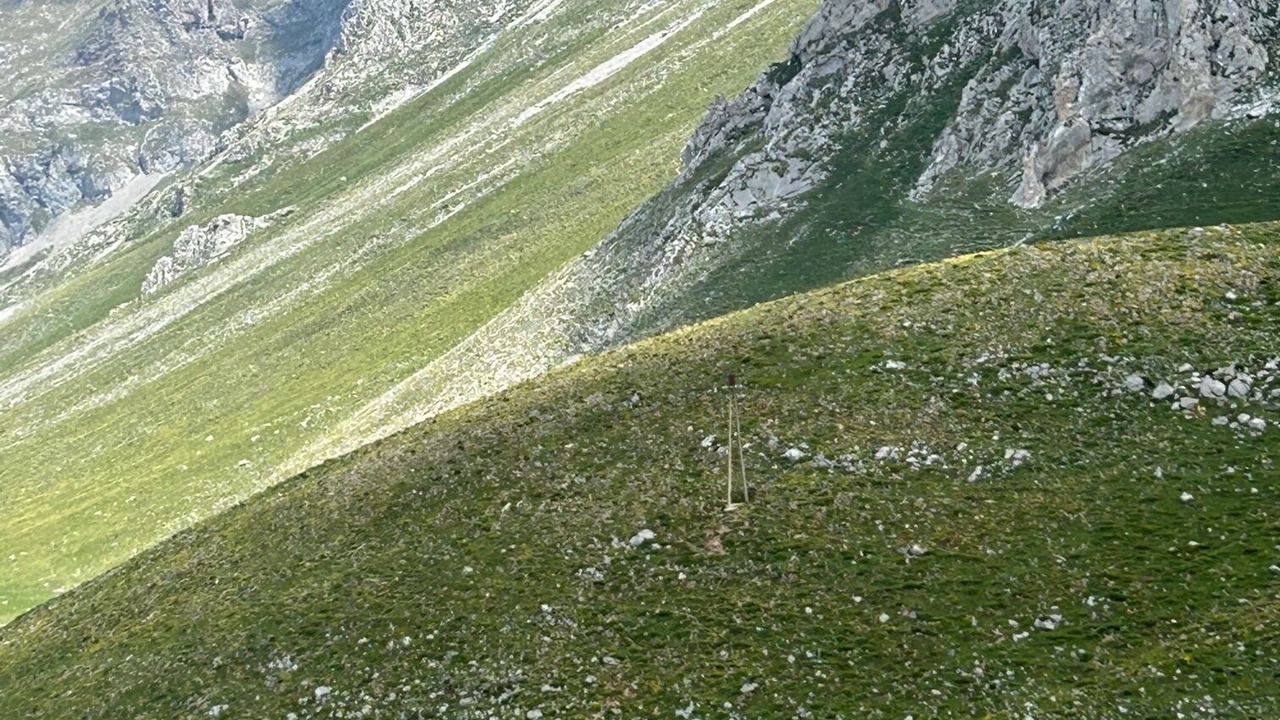 Photo of Others in Cosgaya