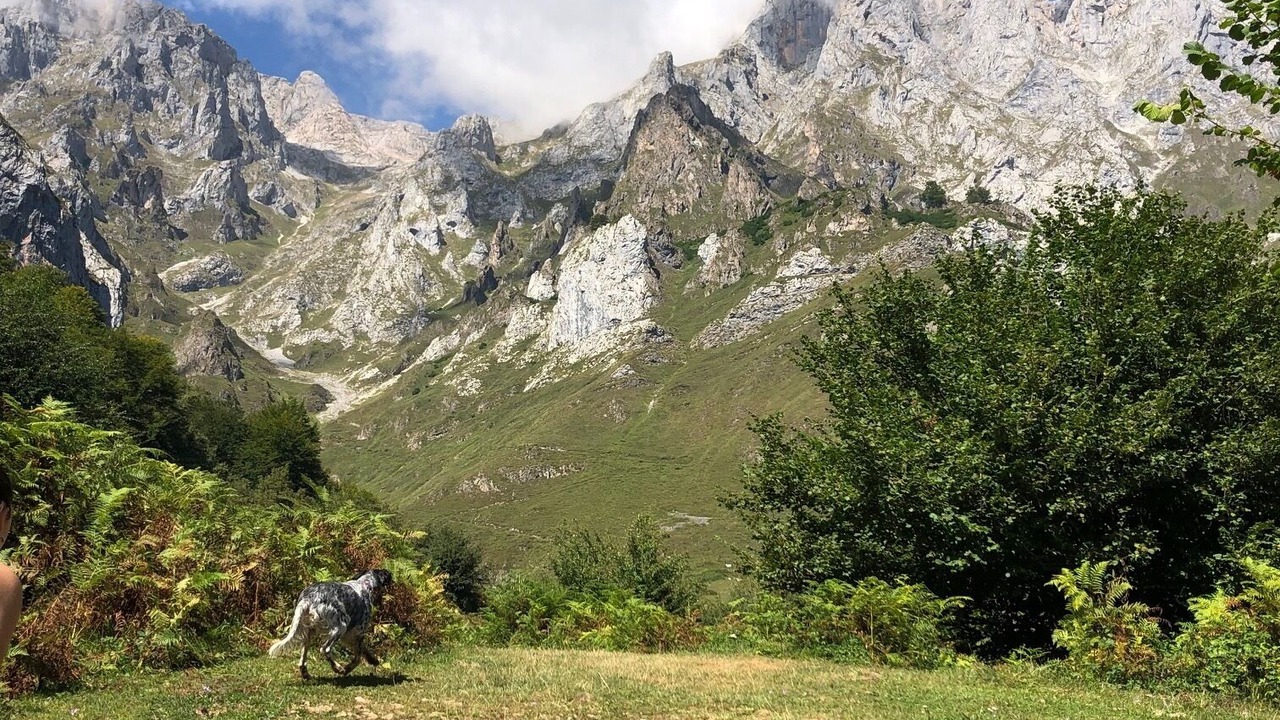Photo of Outdoor in Cosgaya