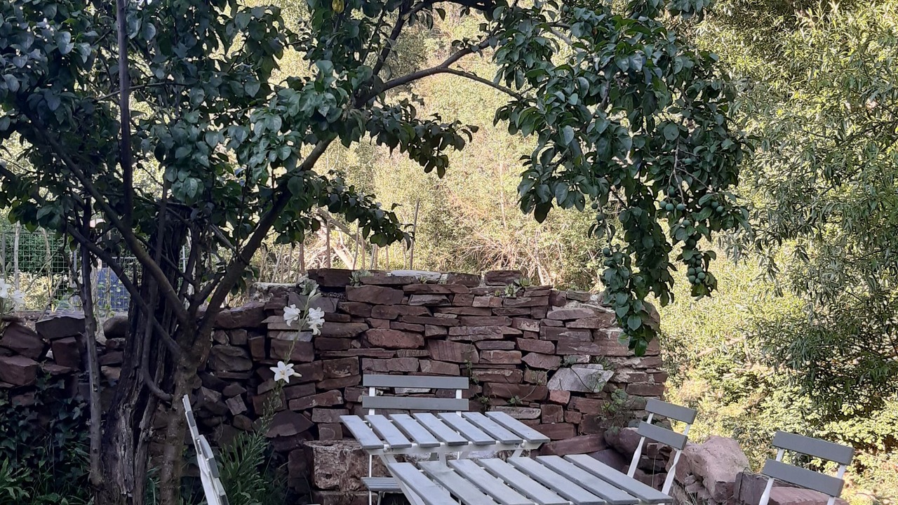 Photo of Outdoor in Villavelayo