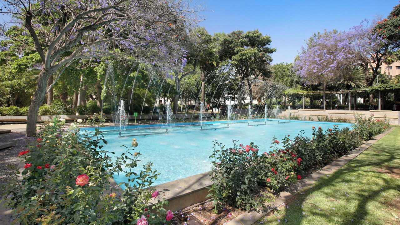 Photo of Outdoor in Santa Cruz de Tenerife