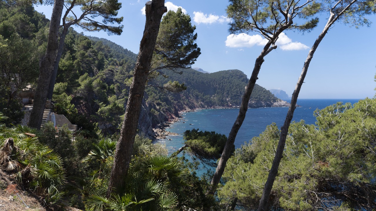Photo of Outdoor in Banyalbufar
