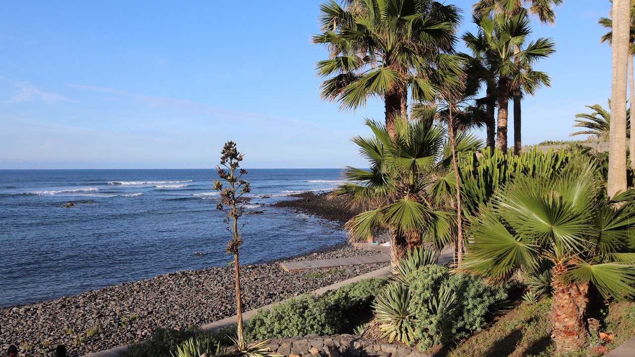 Photo of Others in Garachico