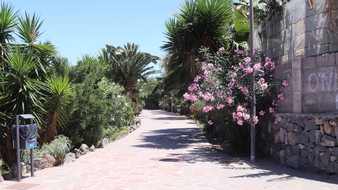 Photo of Outdoor in Garachico