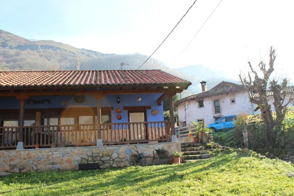 Photo of Outdoor in Ponga