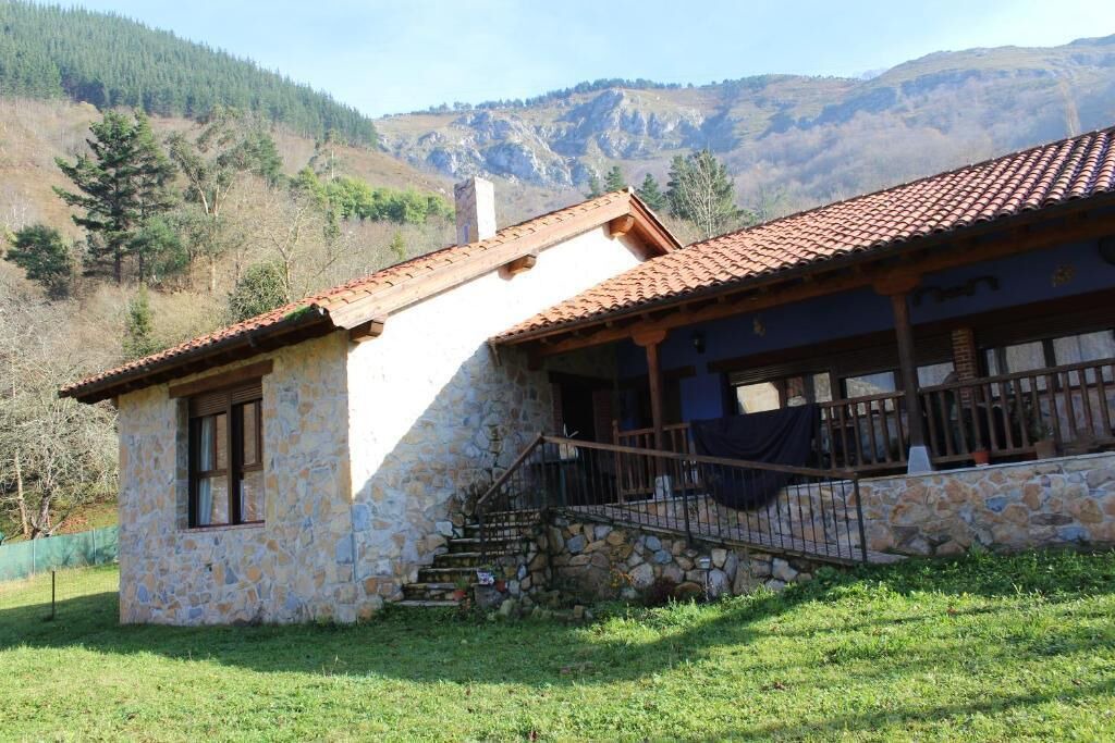 Photo of Outdoor in Ponga