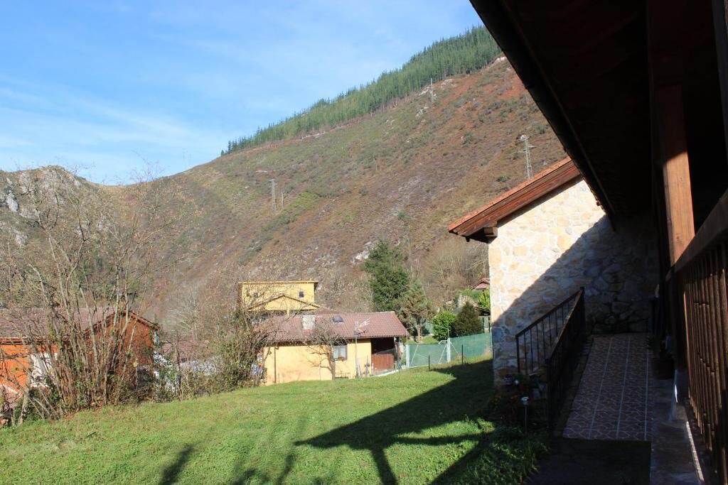 Photo of Outdoor in Ponga