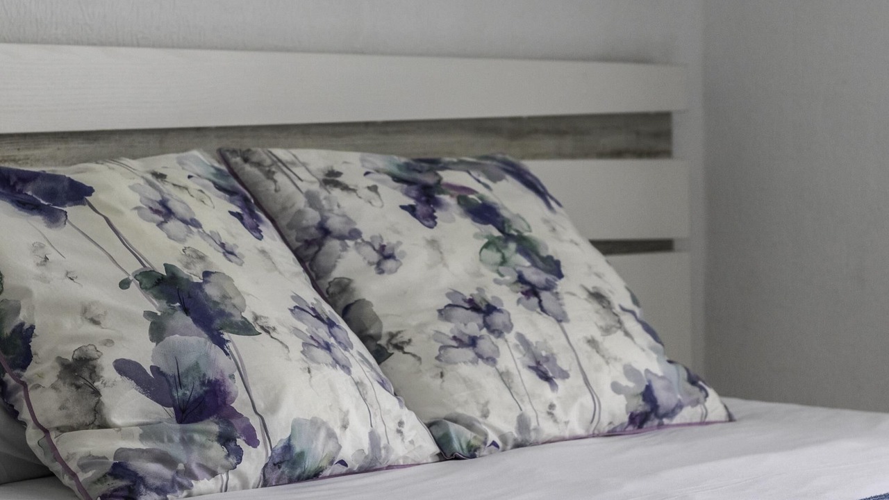Photo of Bedroom in Leioa