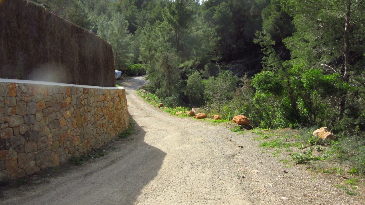 Photo of Others in Cala Sant Vicente