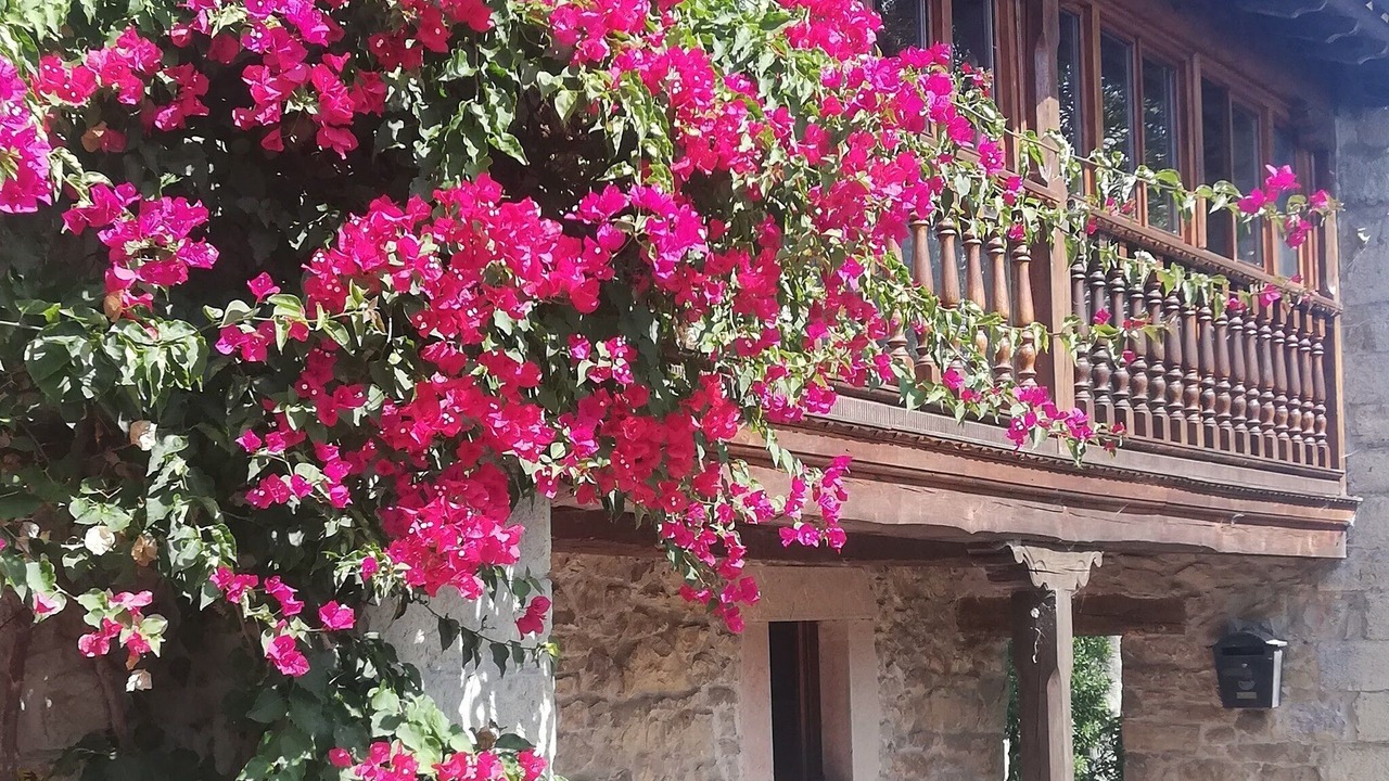 Photo of Outdoor in Parres