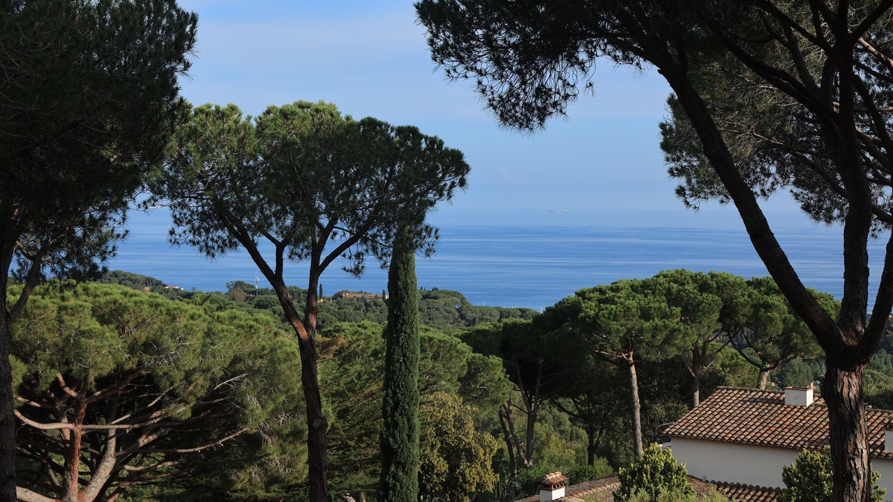 Photo of Others in Sant Vicenc de Montalt