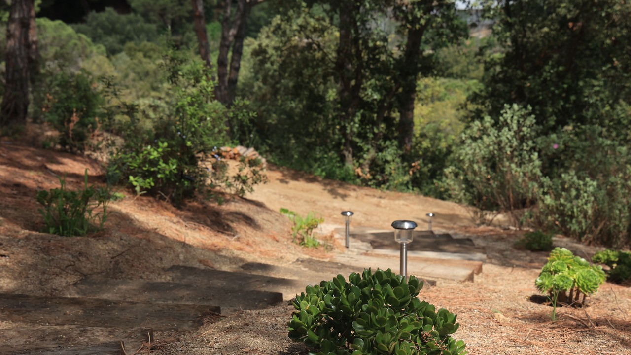 Photo of Outdoor in Sant Vicenc de Montalt