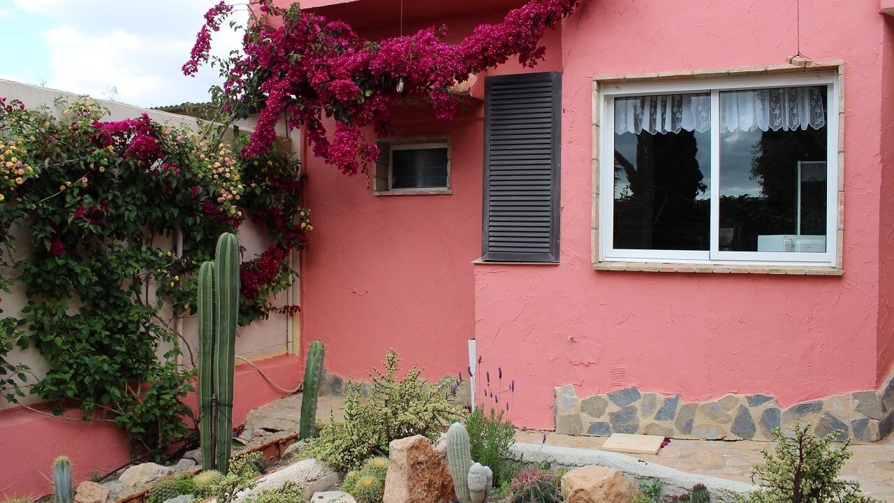 Photo of Outdoor in San Pedro del Pinatar