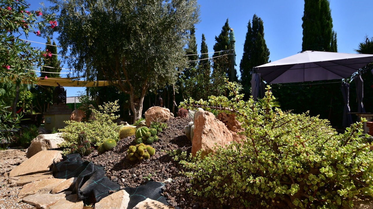 Photo of Outdoor in San Pedro del Pinatar