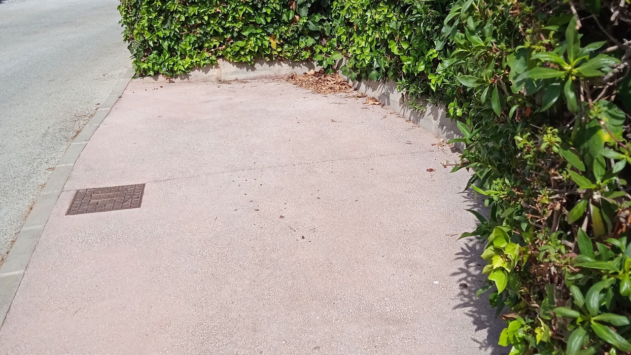 Photo of Outdoor in El Faro