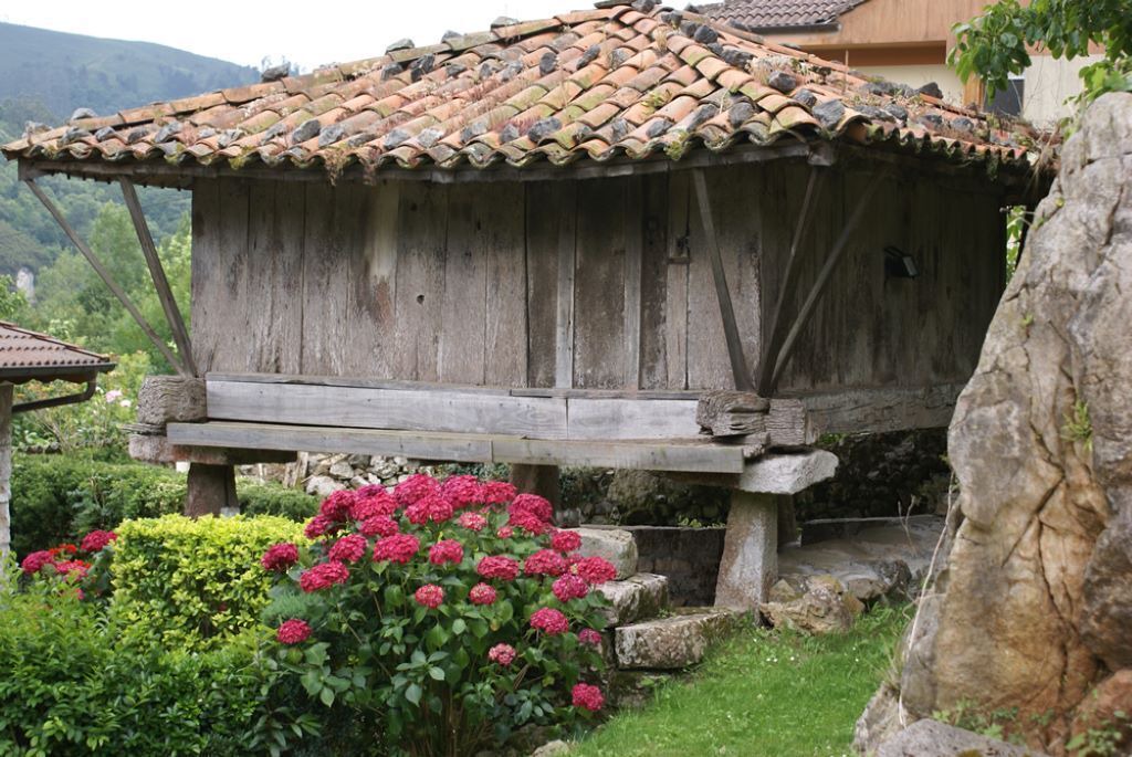 Photo of Outdoor in San Juan de Parres