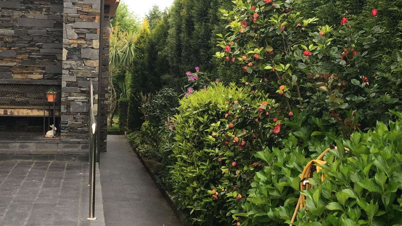 Photo of Outdoor in Valdemora