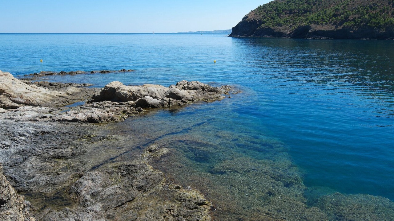 Photo of Others in Colera