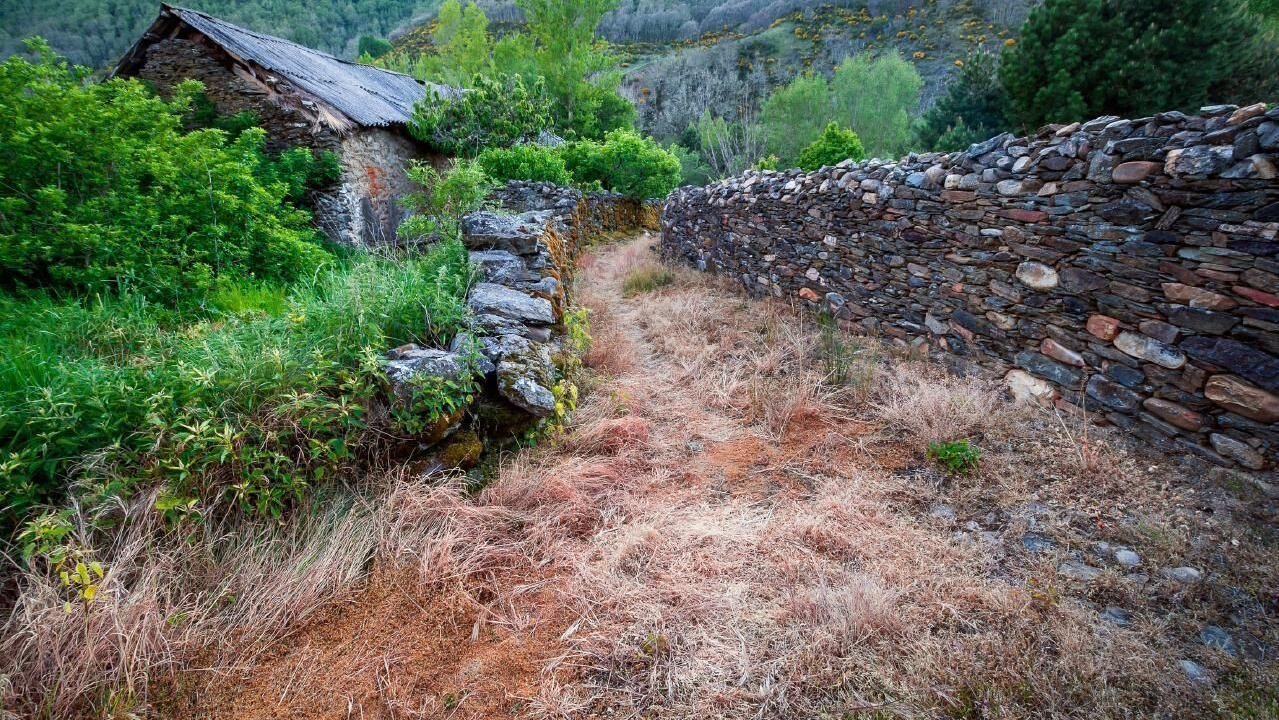 Photo of Outdoor in La Omanuela