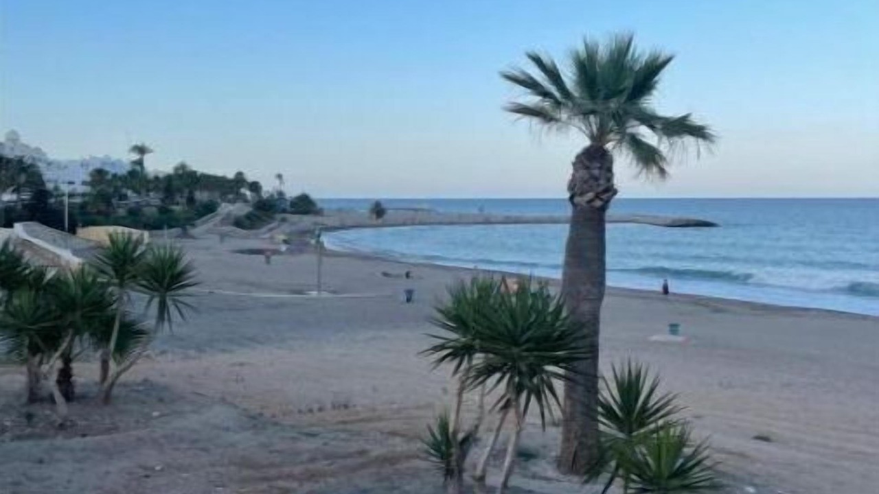 Photo of Others in Palomares