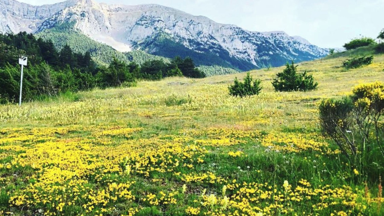 Photo of Others in Ansovell