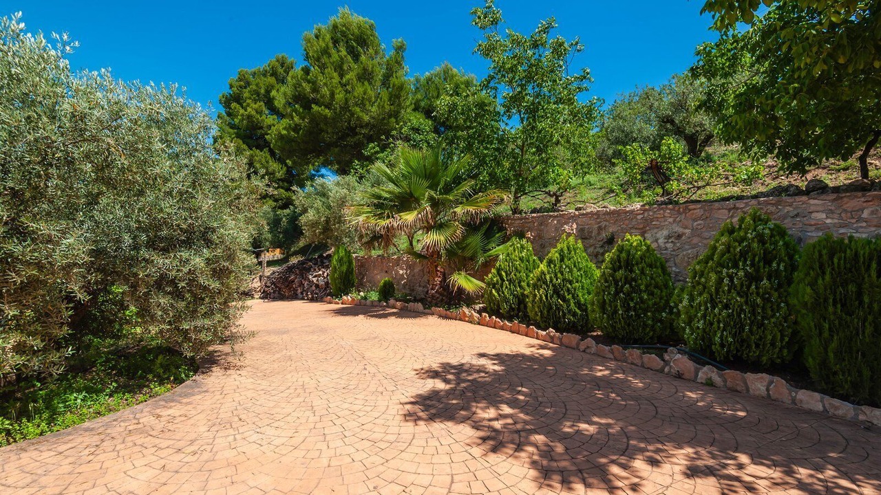 Photo of Outdoor in Pozo Alcon