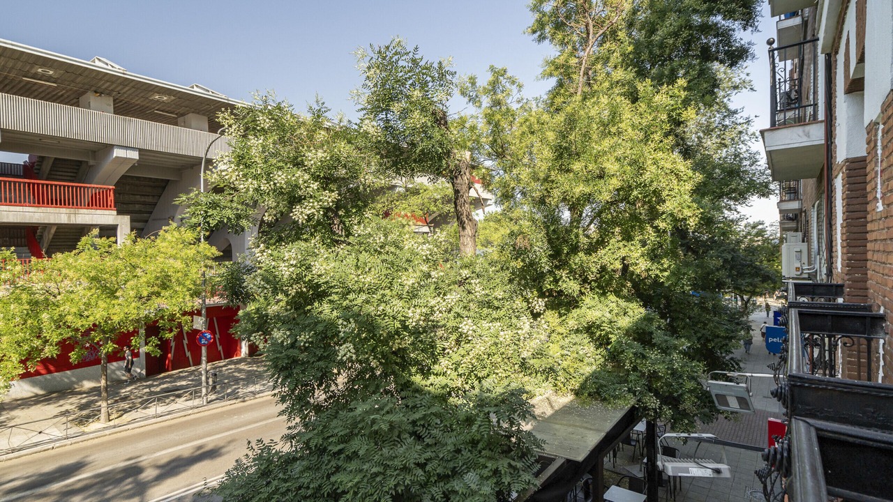 Photo of Outdoor in Palomeras Bajas