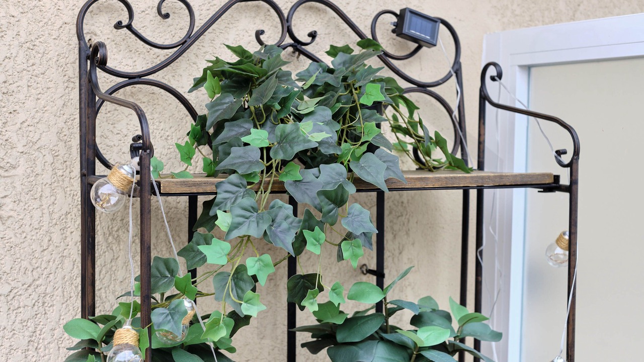 Photo of Outdoor in Centro y casco historico