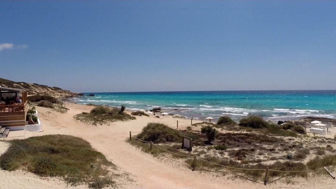 Photo of Others in Formentera