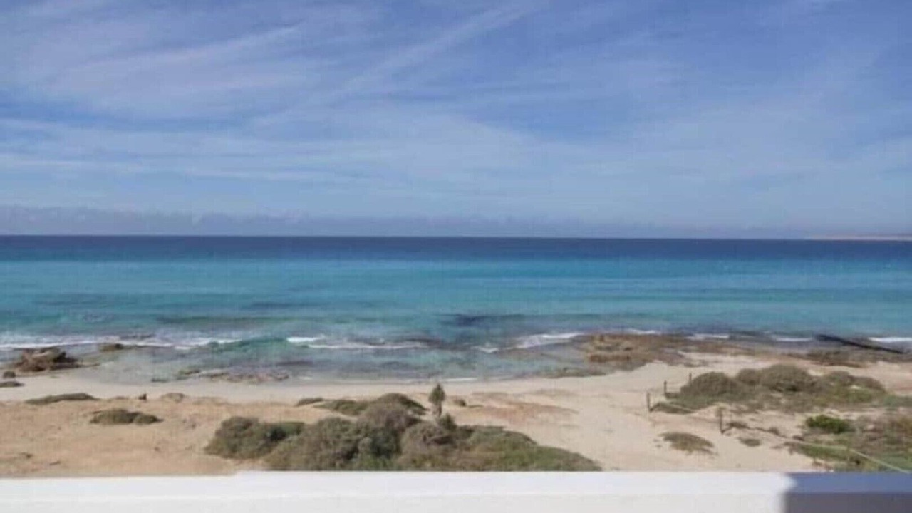 Photo of Others in Formentera