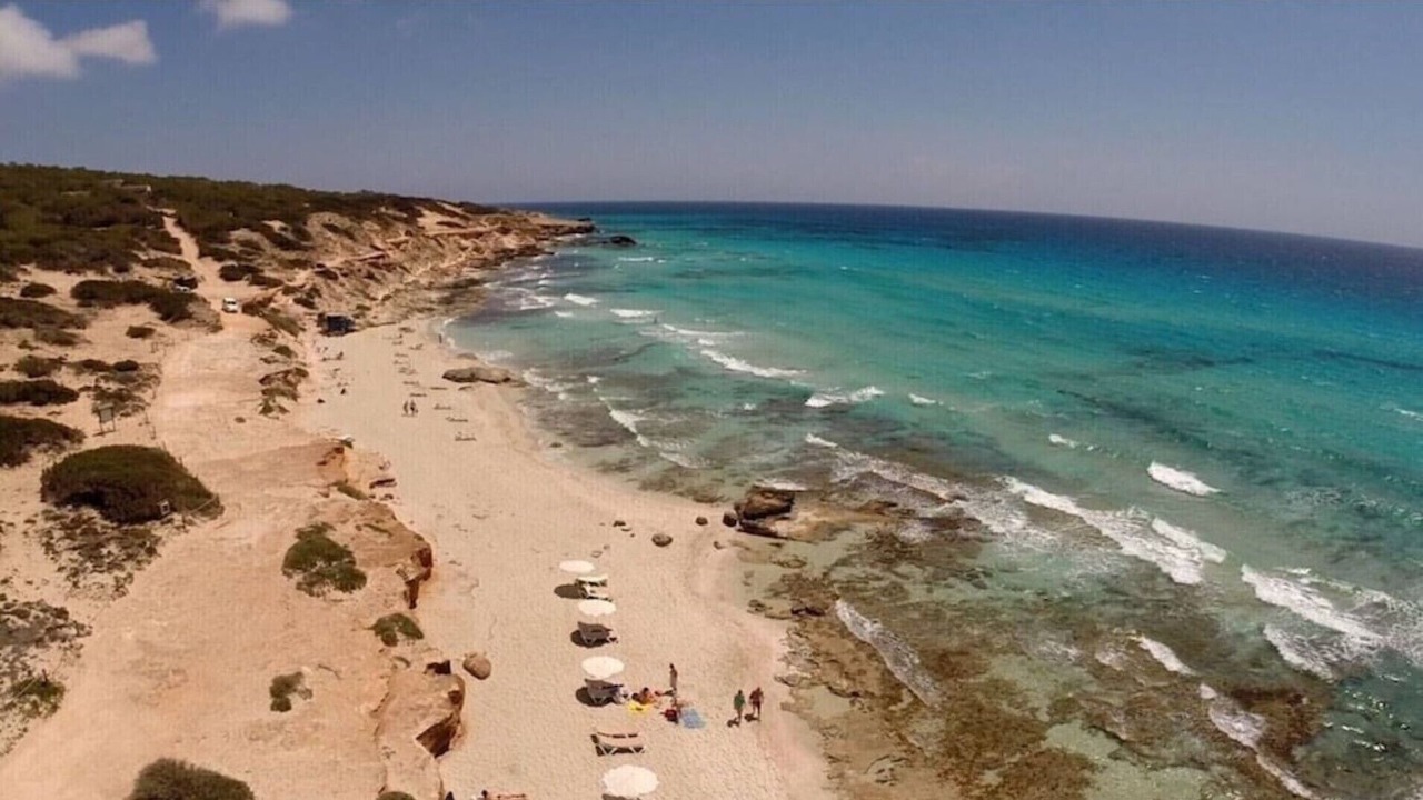 Photo of Others in Formentera