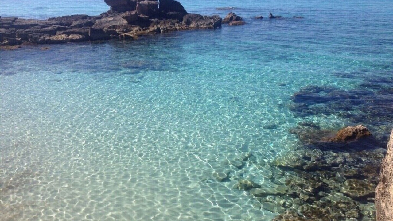 Photo of Others in Formentera