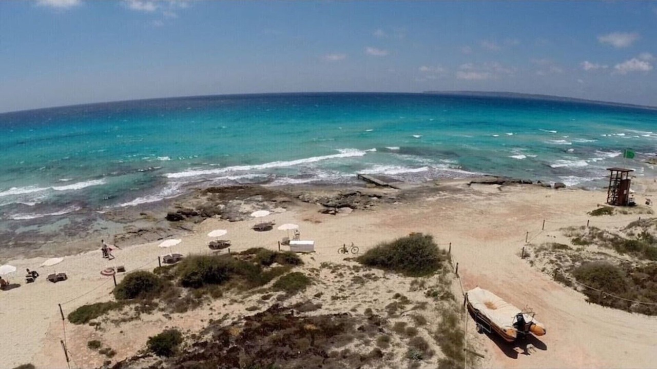 Photo of Others in Formentera