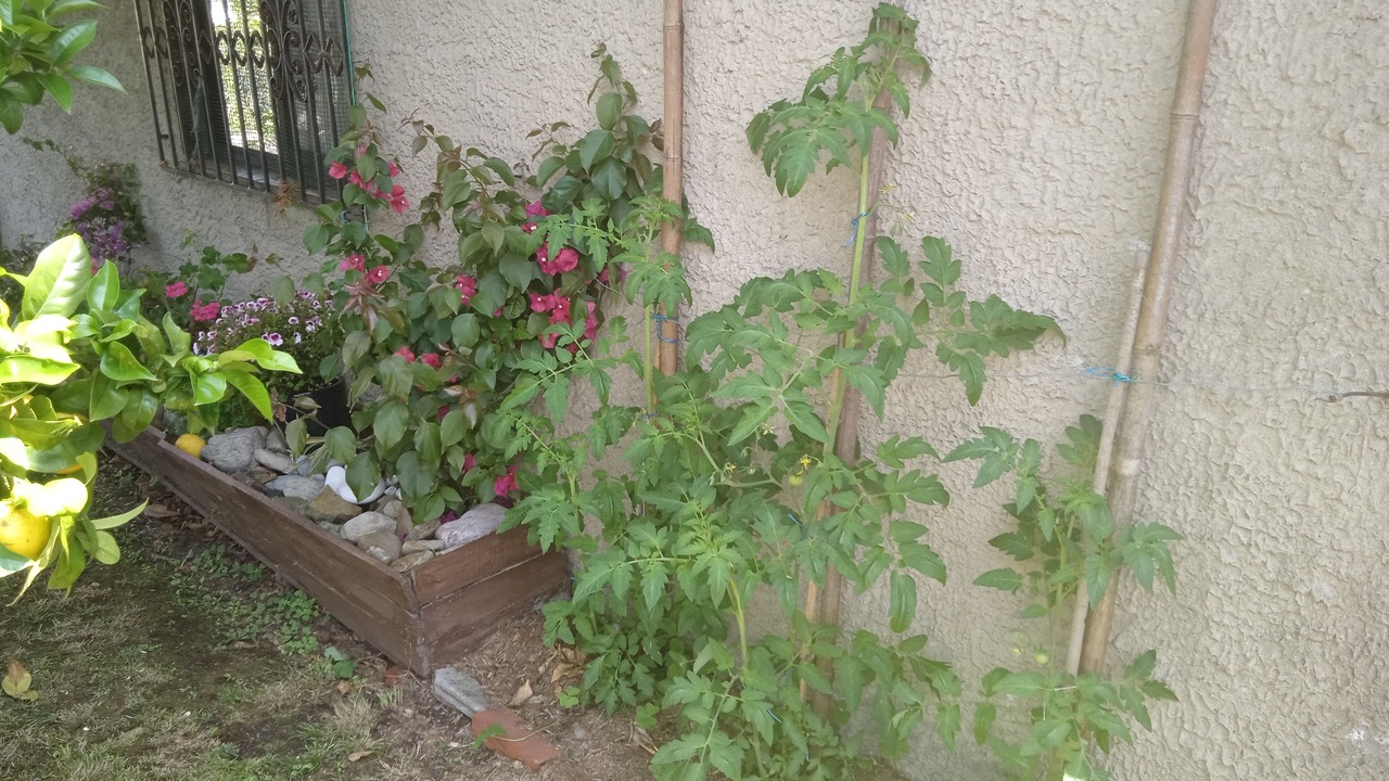 Photo of Outdoor in El Manto