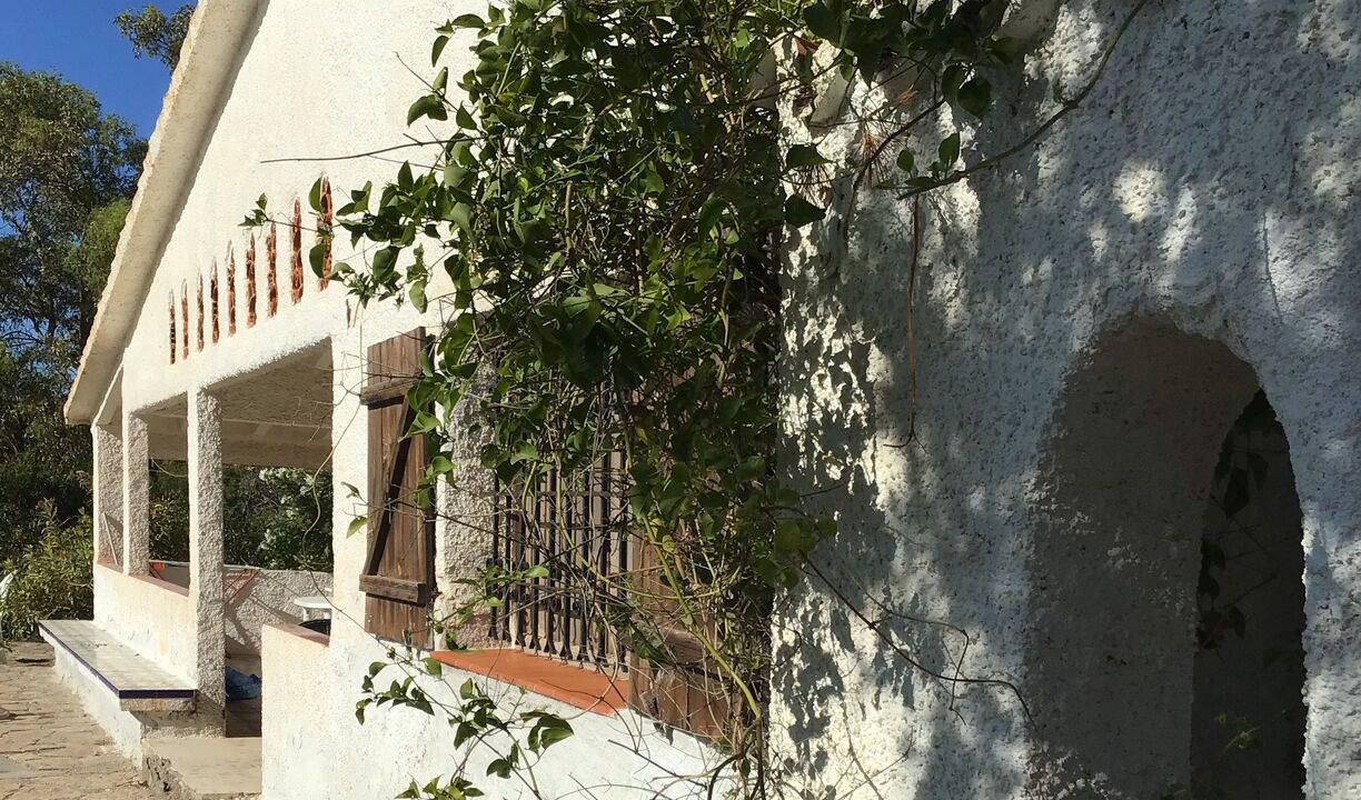 Photo of Outdoor in Cala Panizo