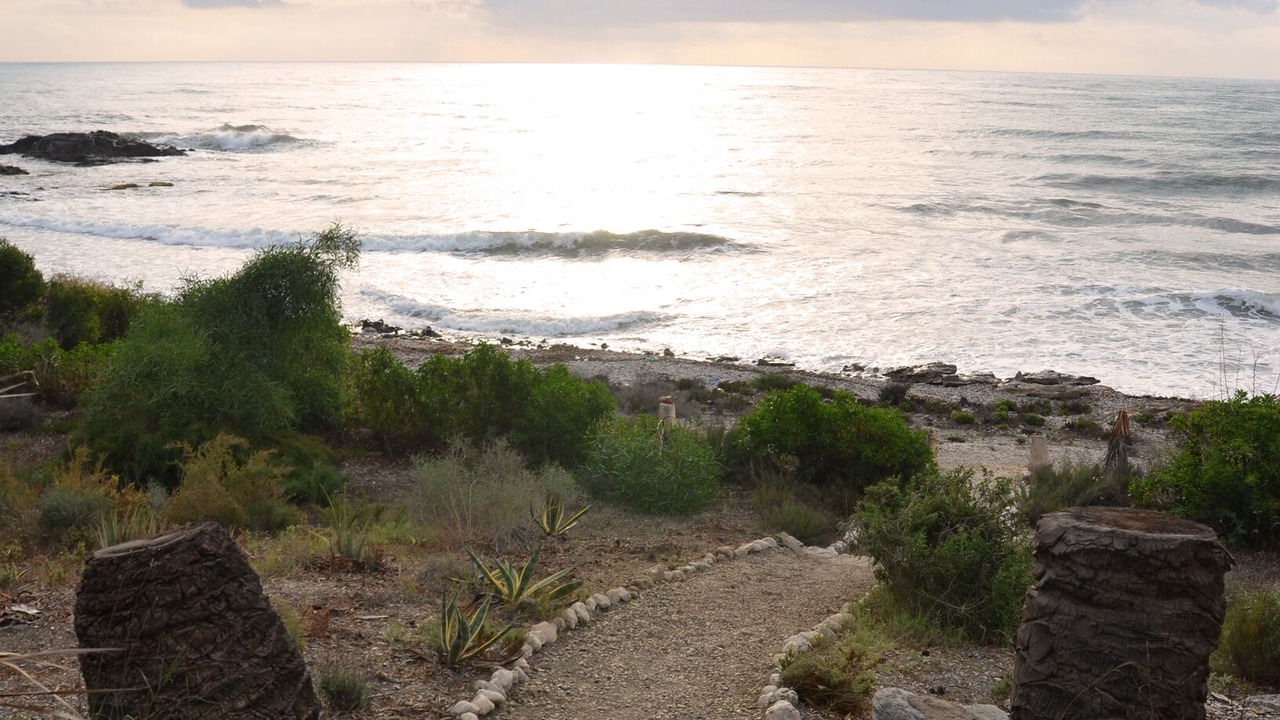 Photo of Others in Cala Panizo