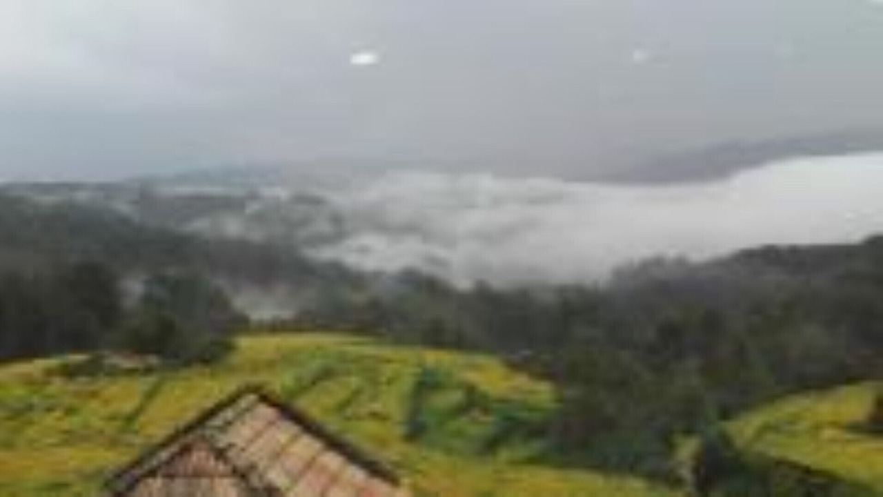 Photo of Outdoor in Avion
