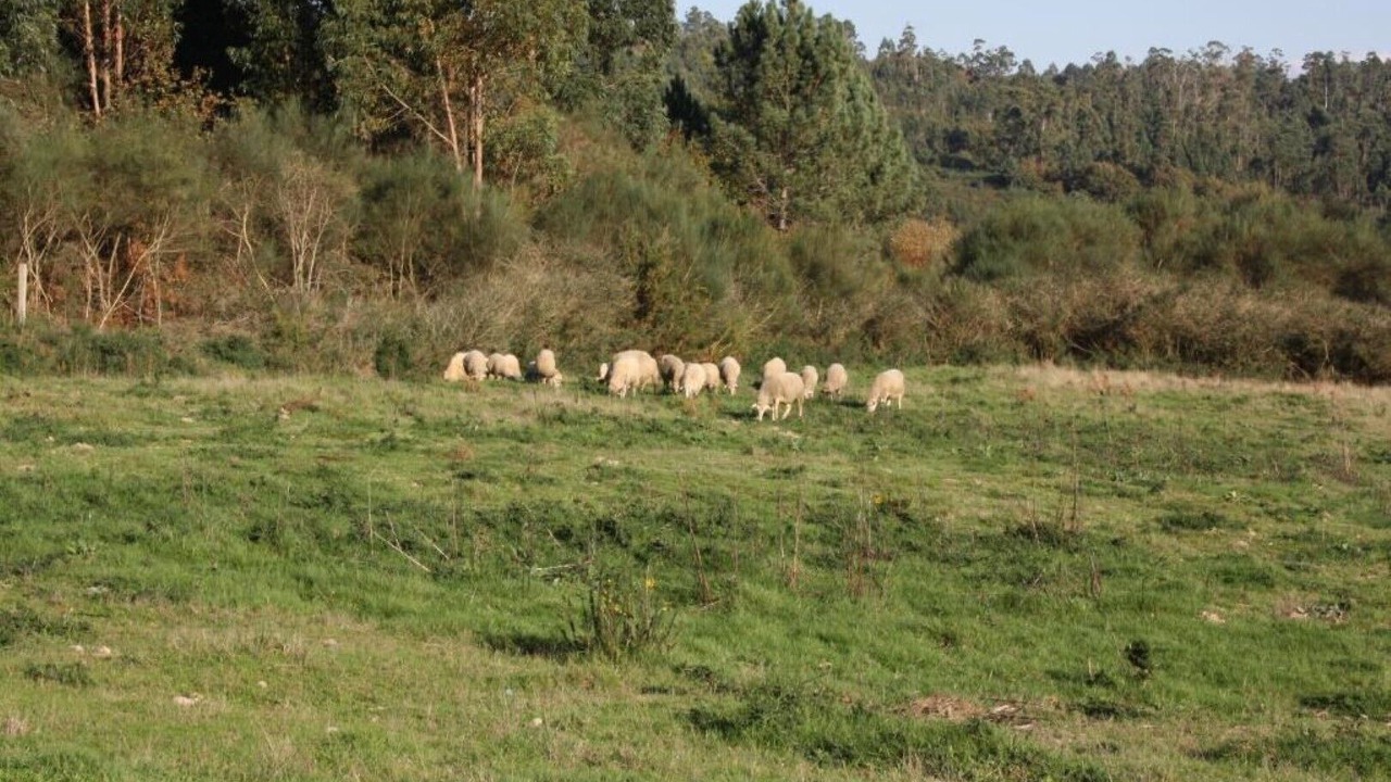 Photo of Outdoor in Avion