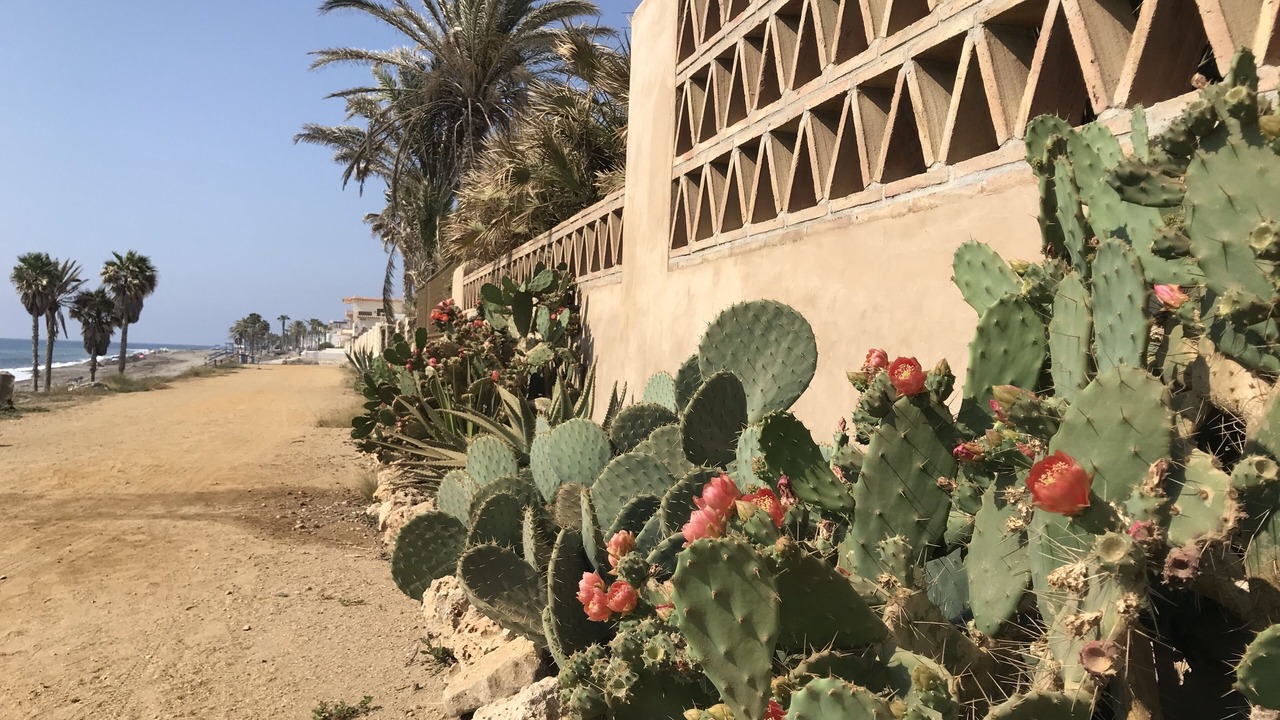 Photo of Others in Carboneras