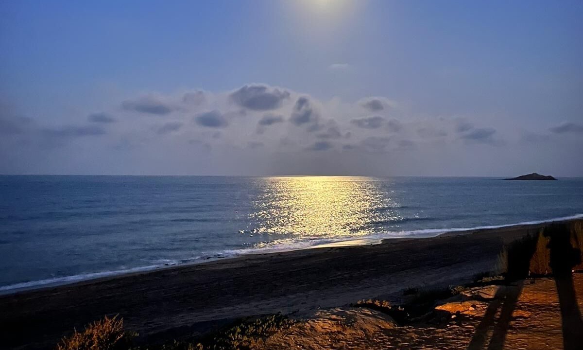 Photo of Others in Carboneras