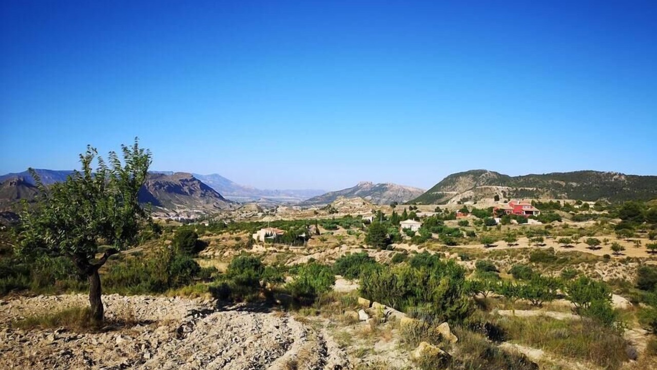 Photo of Others in Huerta de Arriba