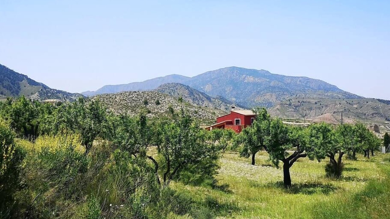 Photo of Others in Huerta de Arriba