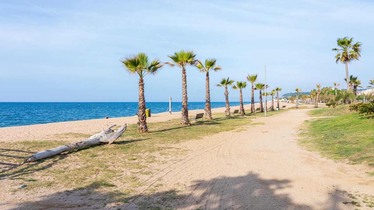 Photo of Others in Pineda de Mar