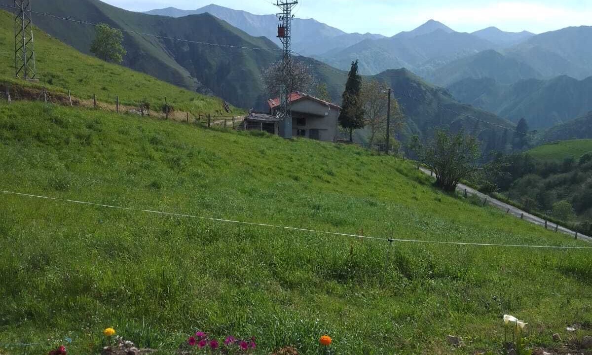 Photo of Outdoor in Sevares