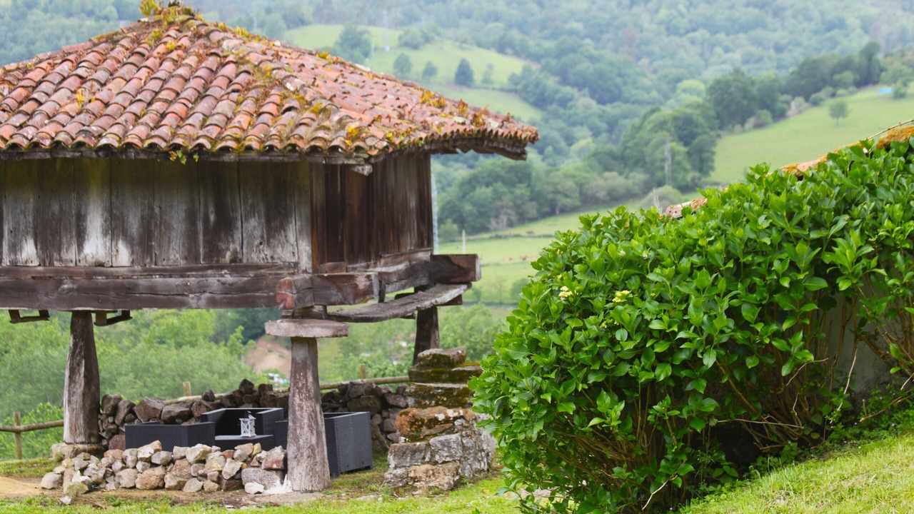 Photo of Outdoor in Vallobal
